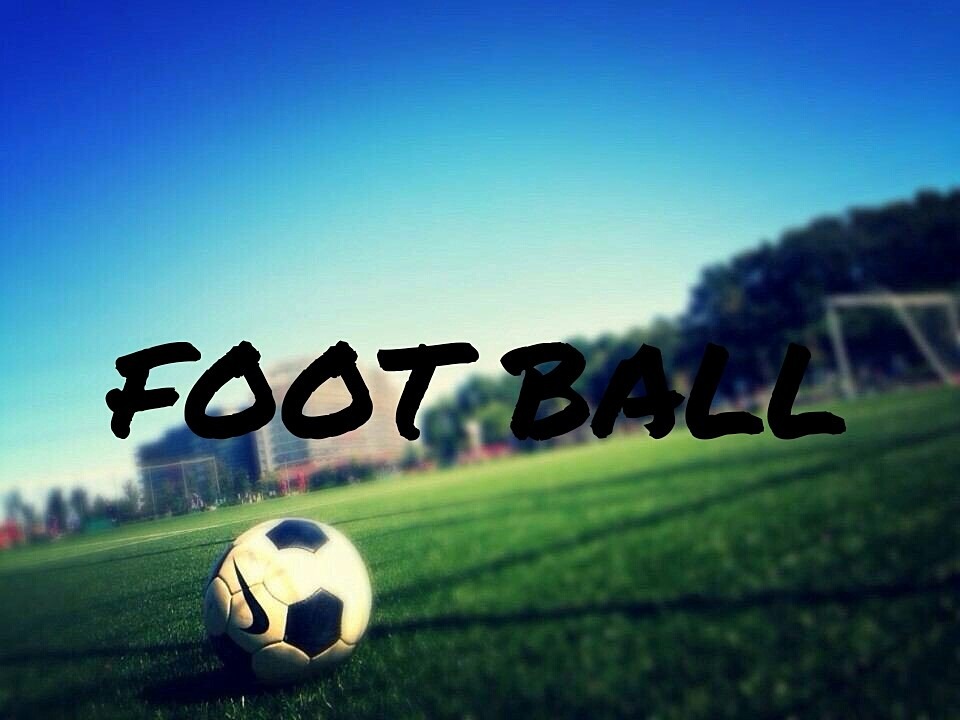 いよいよポーランド戦ですっ 家族葬 1日葬なら埼玉金周